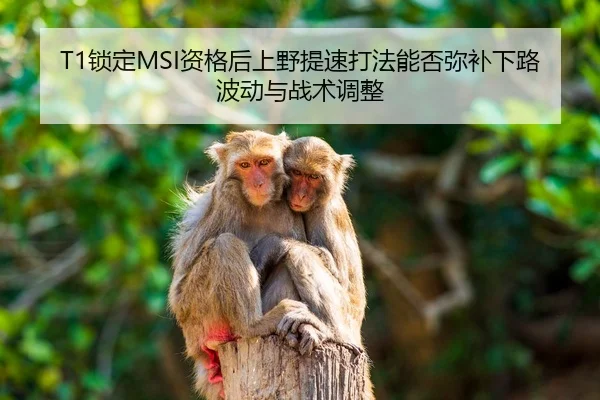 T1锁定MSI资格后上野提速打法能否弥补下路波动与战术调整
